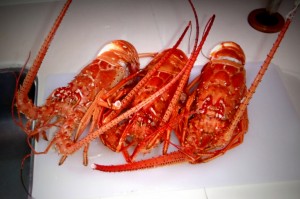 Cooking on boats using local fresh ingredients