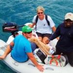 Caribbean Boat Cuisine