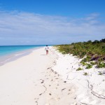 Tobago Cays Caribbean