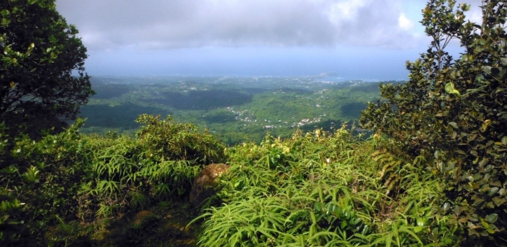 Disover Grenada and the Grenadines