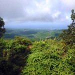 Disover Grenada and the Grenadines