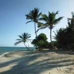 The Tobago Cays have some of the best beaches in the Grenadines