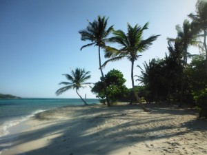 The Tobago Cays have some of the best beaches in the Grenadines