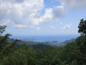 Hiking in Grenada - view from Grand Etang.