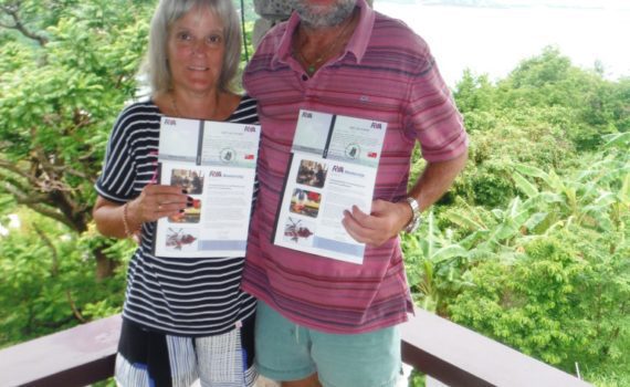 Sailing Theory Courses in the Caribbean